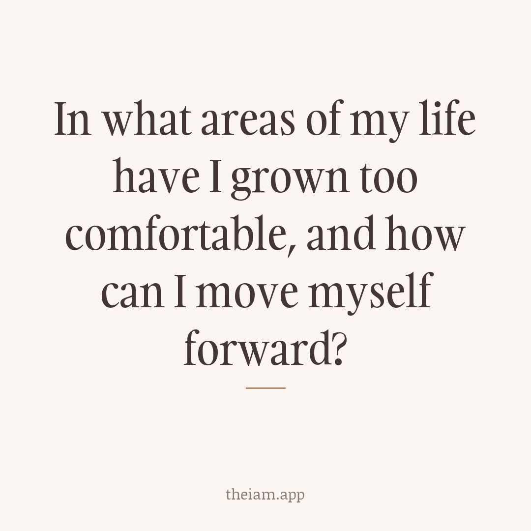 In what areas of my life have I grown too comfortable, and how can I move myself forward?