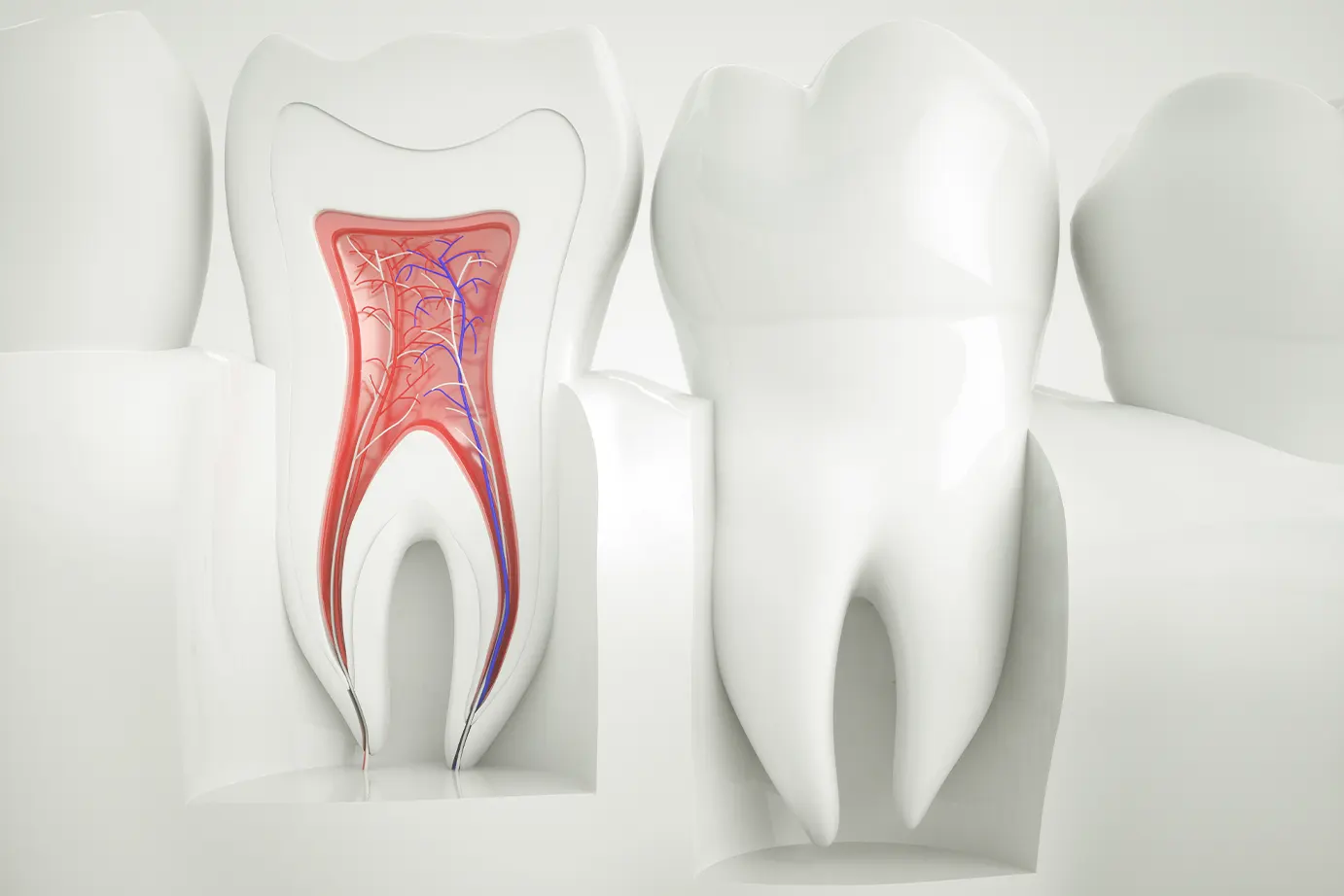 Pain-Free Precision: How Modern Technology Has Revolutionized Root Canal Therapy