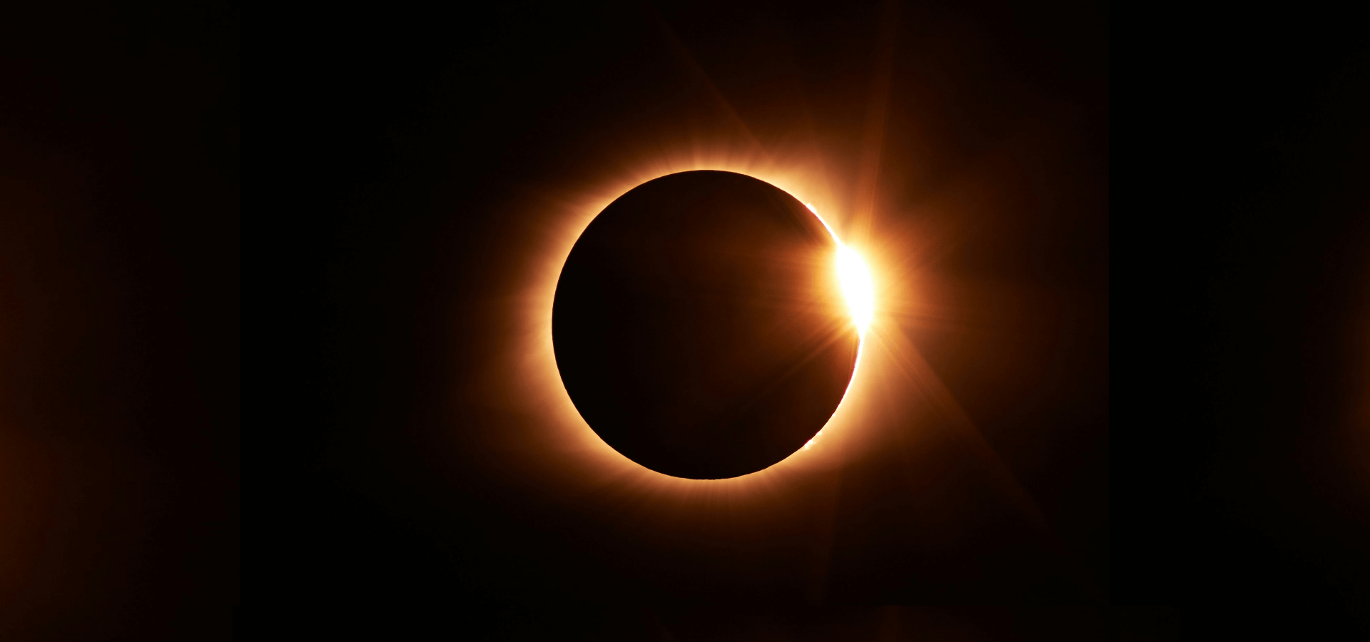 It is Rocket Science: CEO Flavia Tata Nardini Recognised by Pearcey Foundation