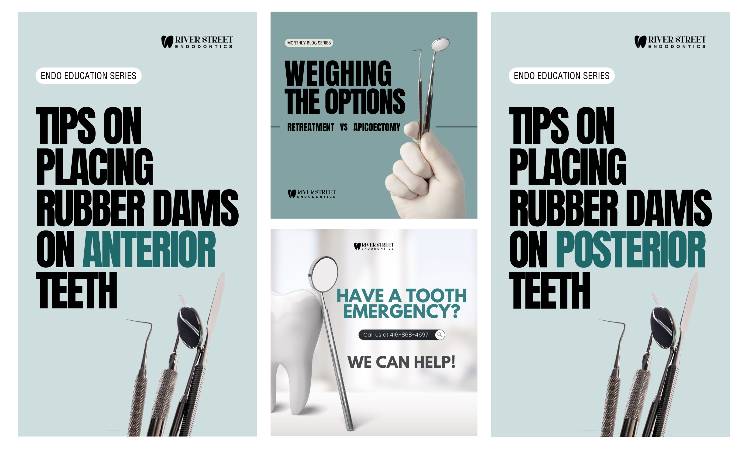 Sample work from River Street Endodontics