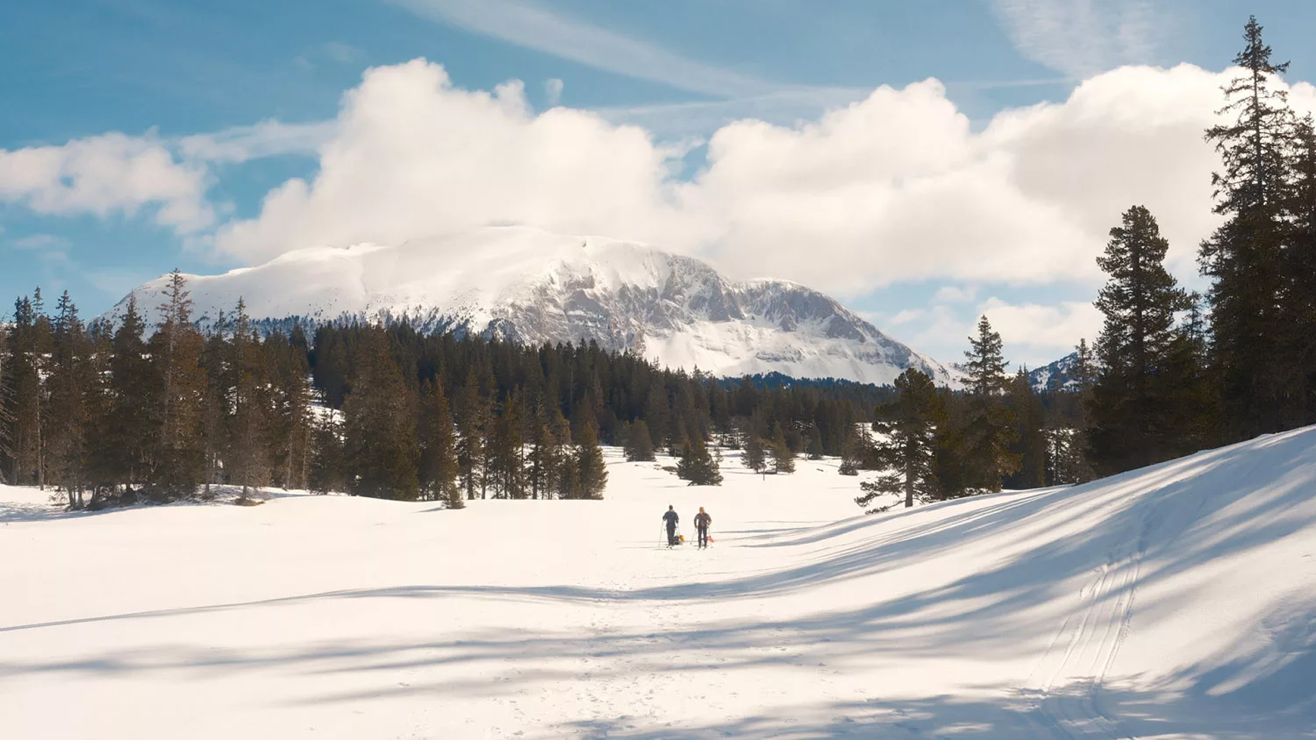 Cas Client Les Others