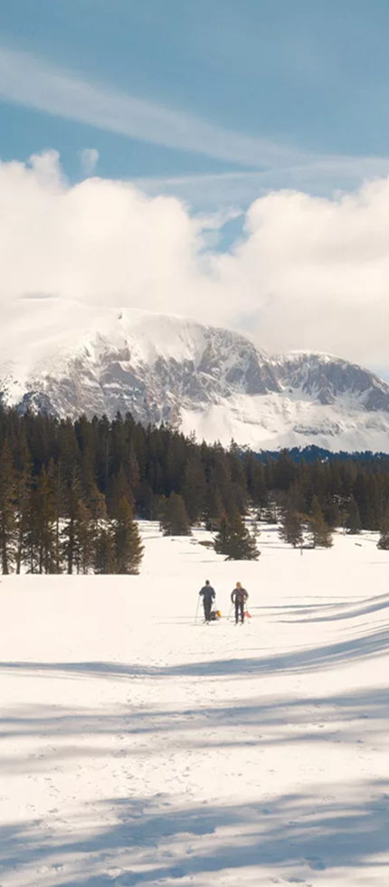 Cas Client Les Others