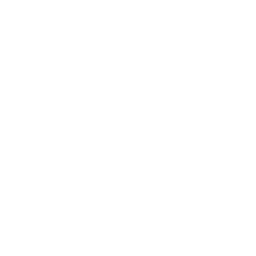 Pauline Gan portfolio logo