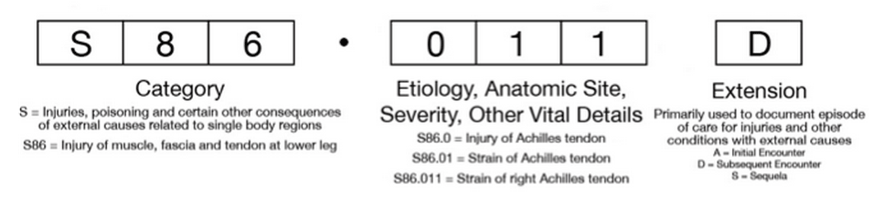 ICD 10 Code Structure