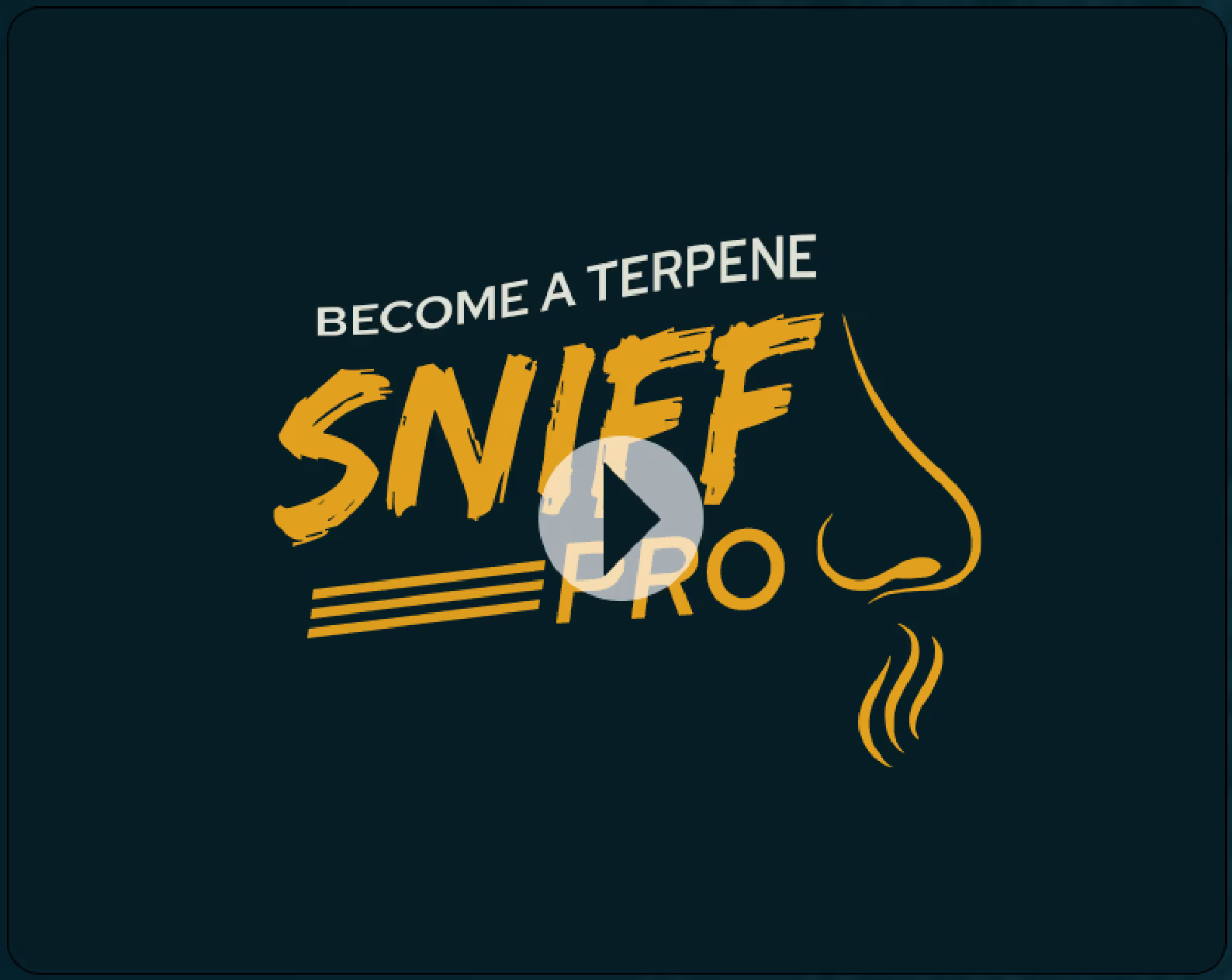 How To Smell Terpenes