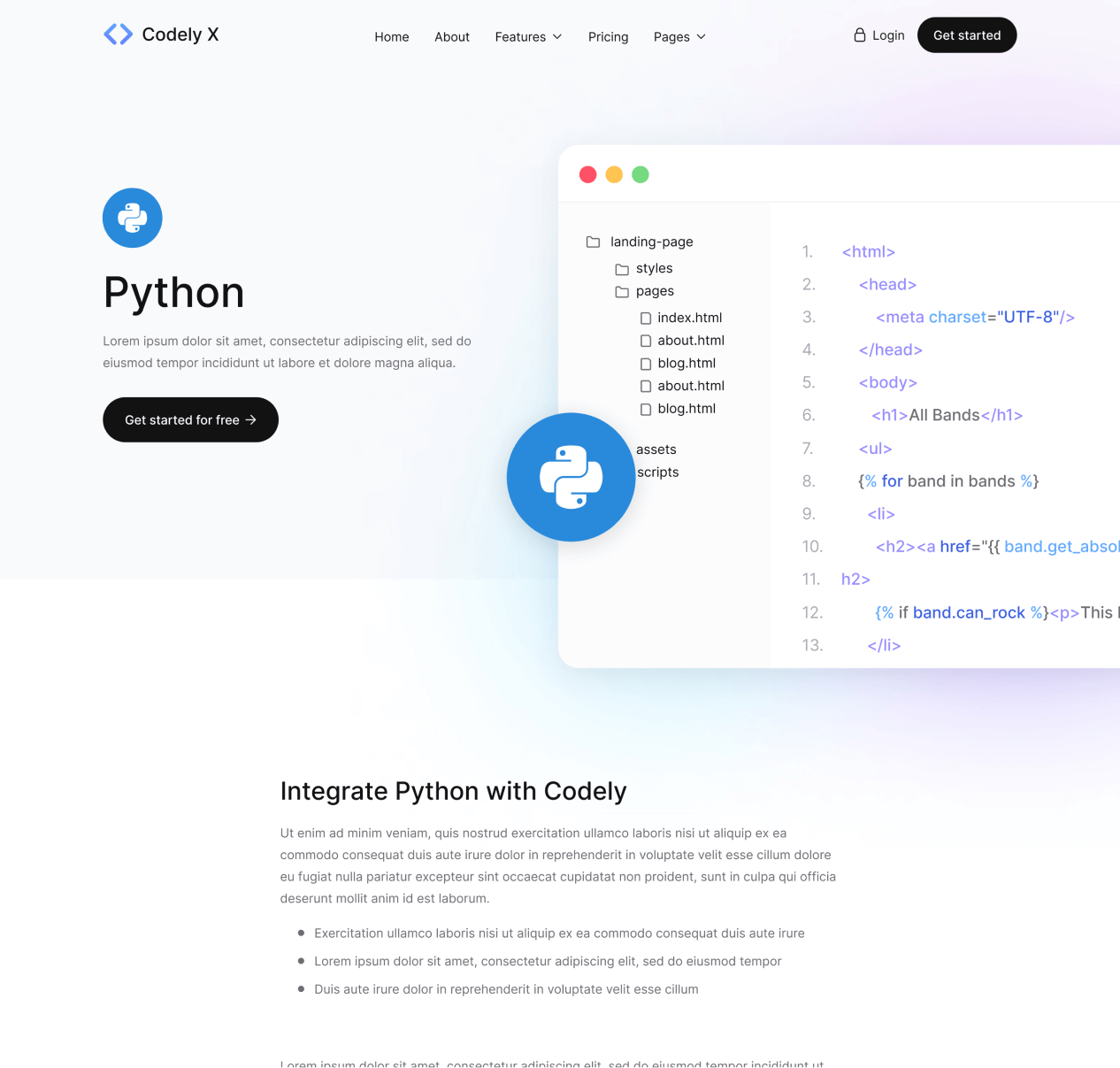 Codely X - Integration Single page - B2B SaaS Startup Webflow Template