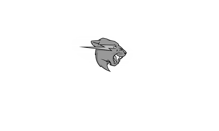 Mr. Beast