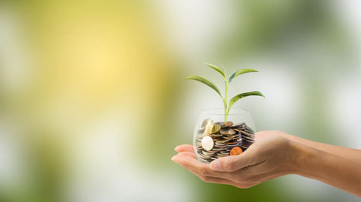 Blume auf der Hand mit Geld. Symbolisiert Wachstum vom Vermögen.