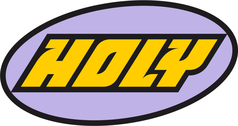 Yellow word HOLY in a bold stylized font inside a purple oval with black border.