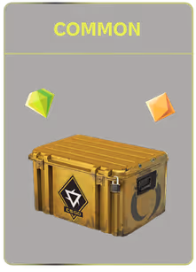 Yellow crate labeled 'COMMON' with two floating colored gems above it on a dark background.