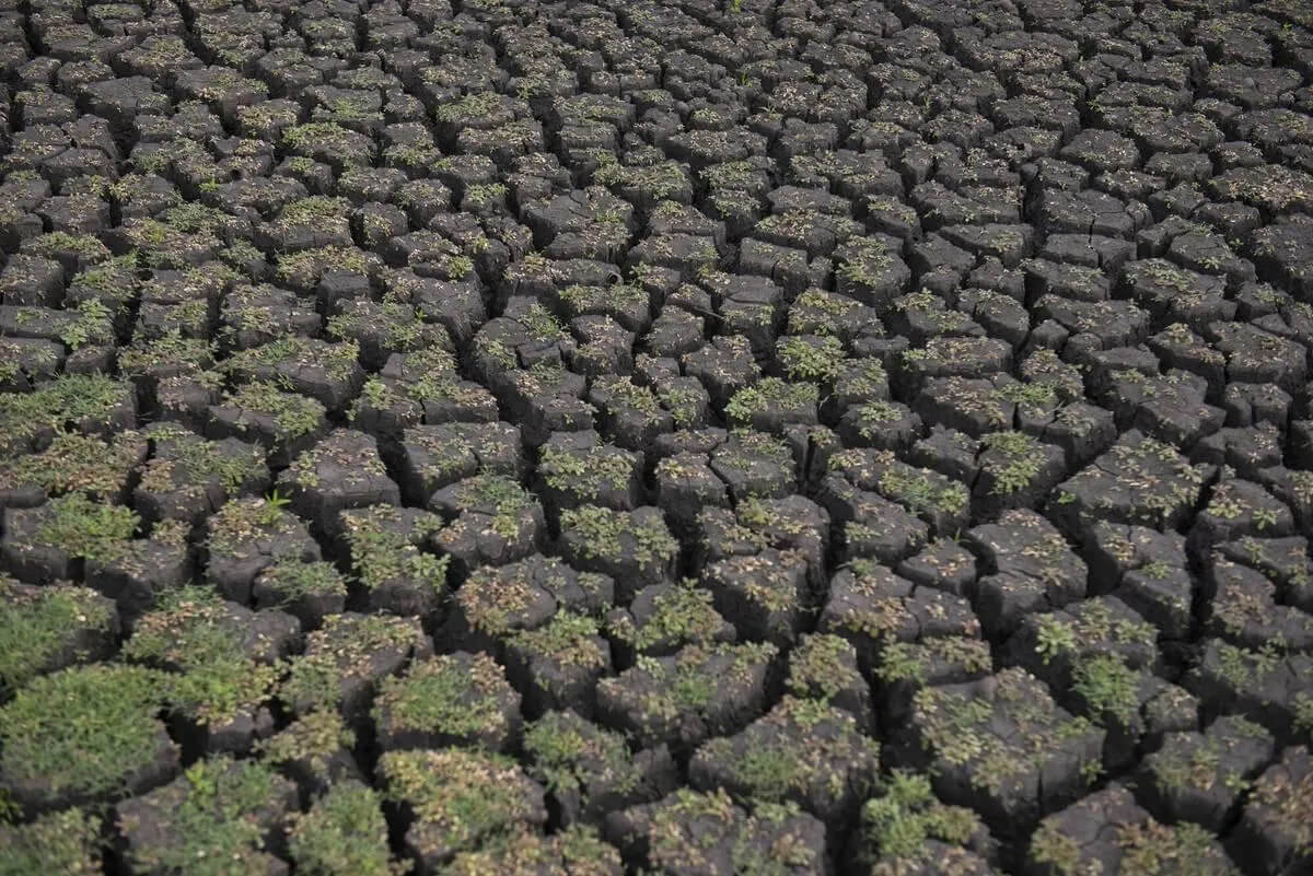 Drought image by Alessandro Maradei