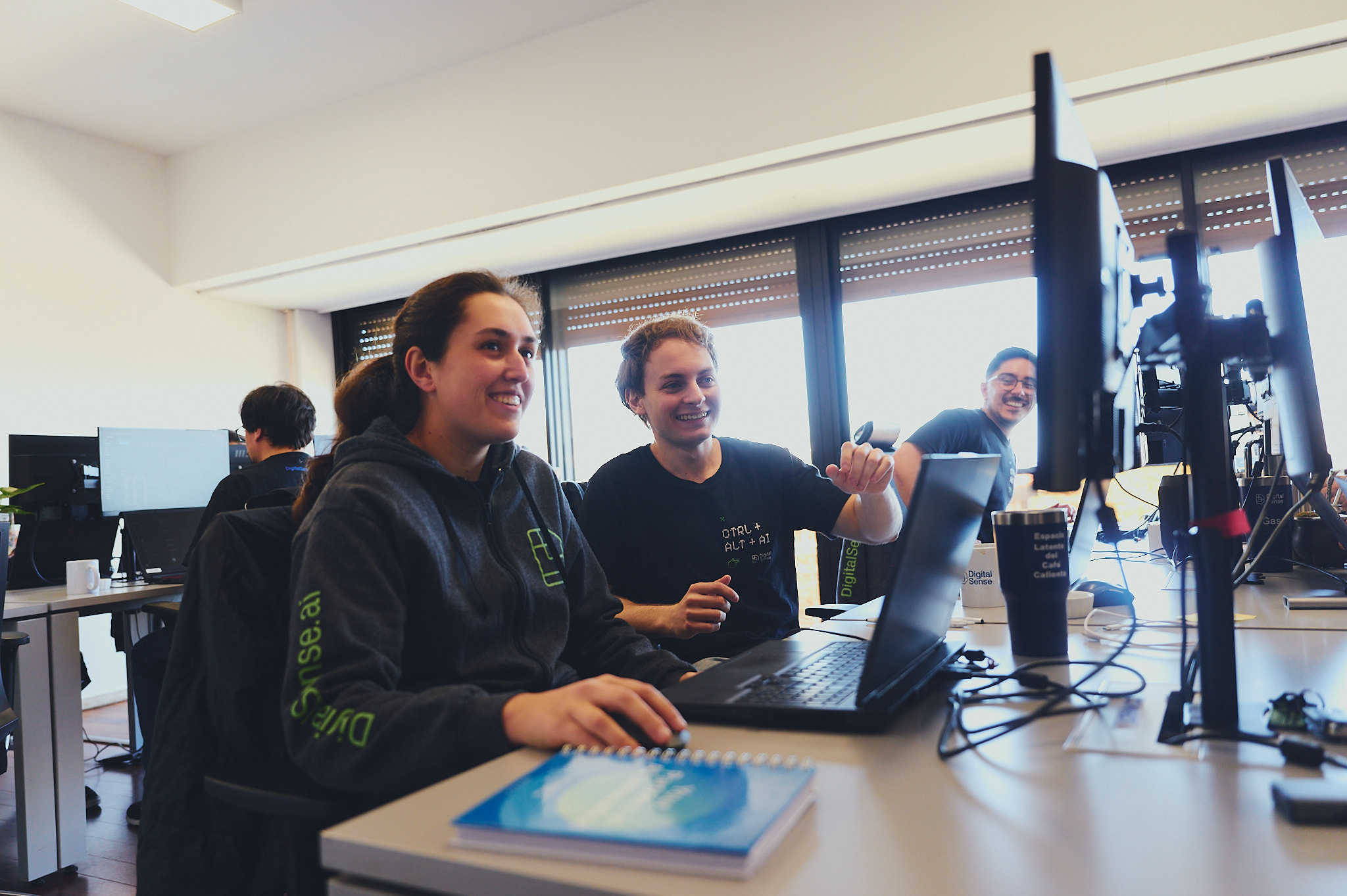 Working together at Digital Sense's offices