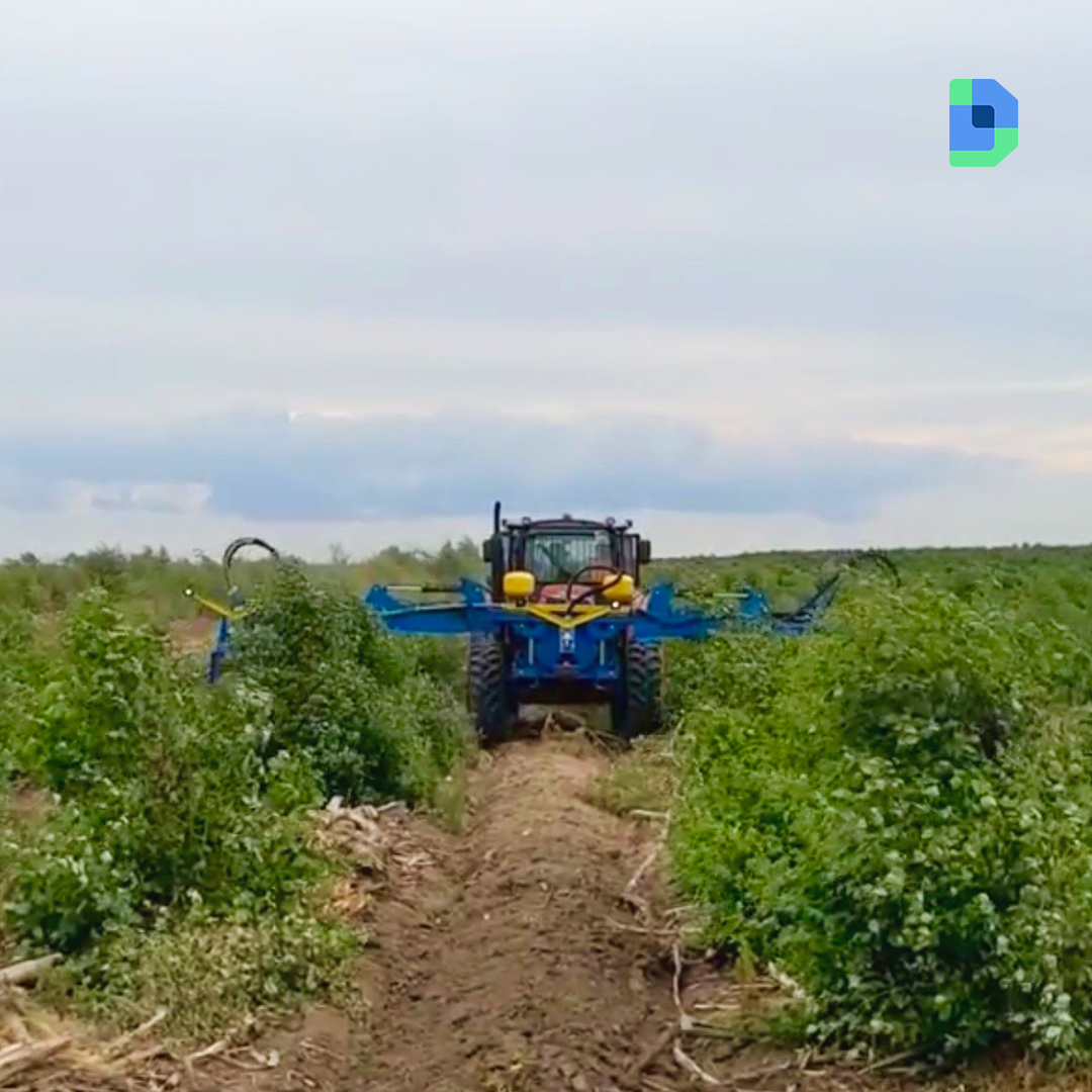 Digital Sense's smart irrigation system 