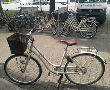 12DRIVE E-Bike Privatfoto