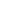 Truck Icon
