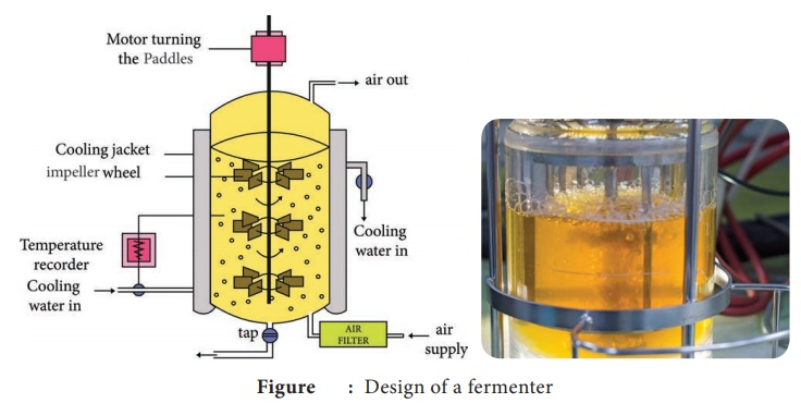 Fermentor in an industrial setting