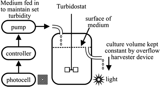 Continuous Processing