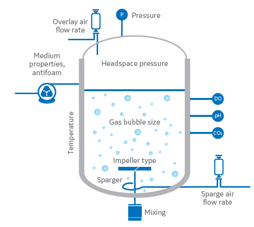 Mixing and Mass Transfer