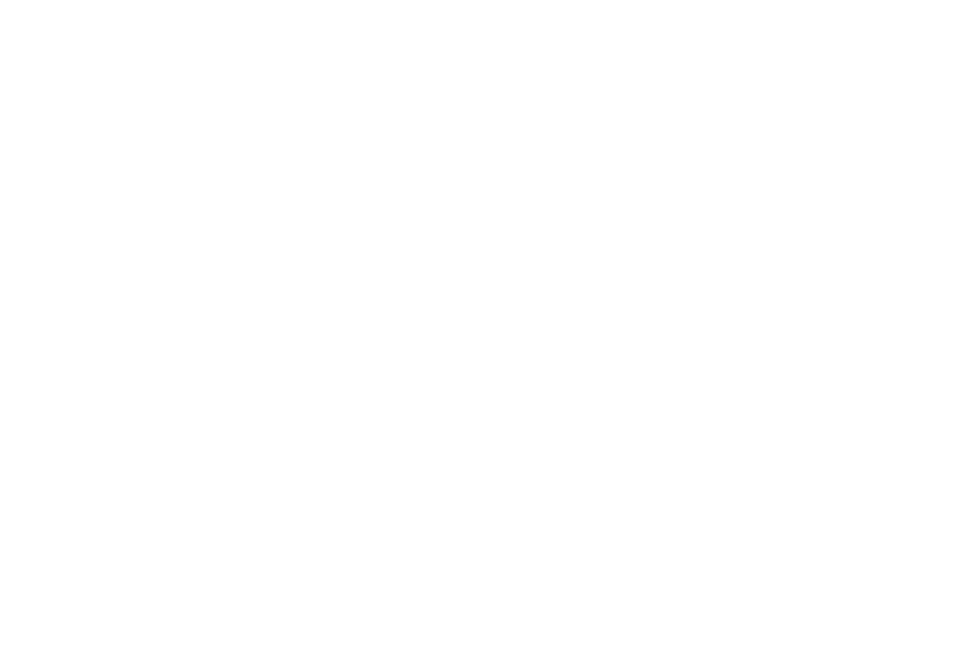 White CGI Logo