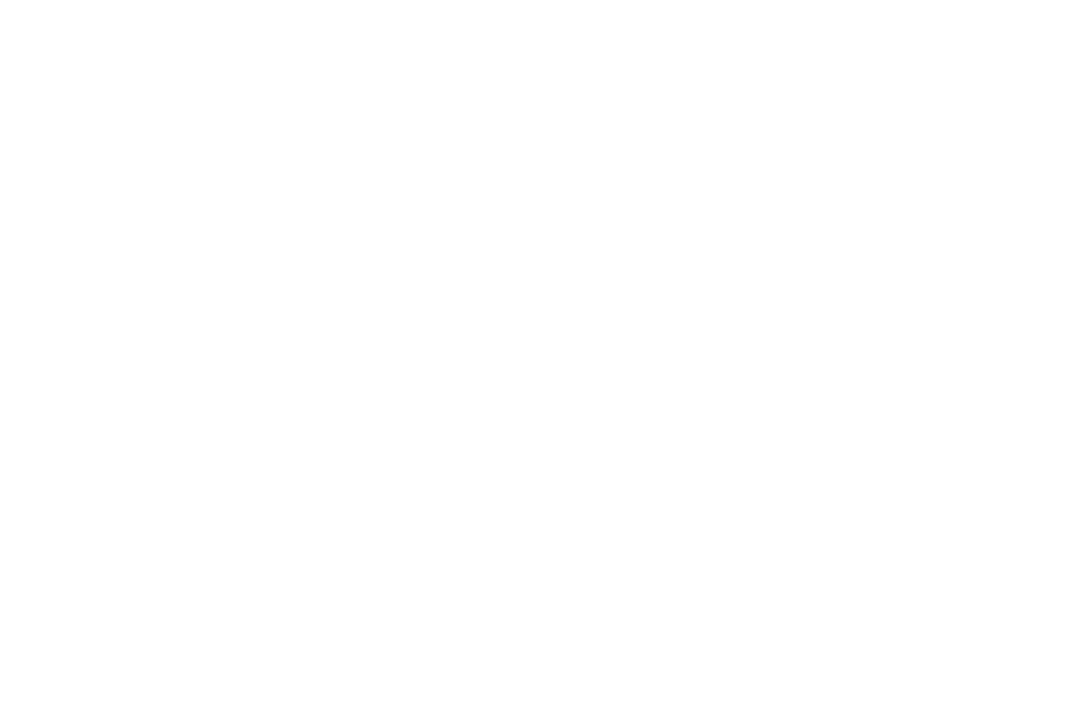 White RTX Logo