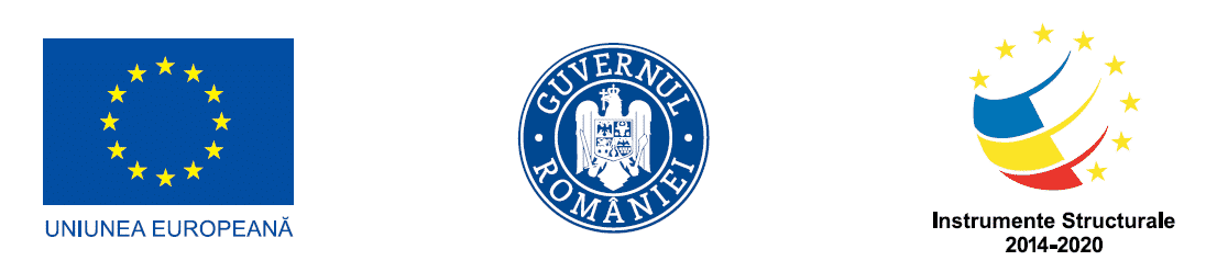 ANUNT PRIVIND INCEPEREA DERULARII PROIECTULUI GRANT PENTRU CAPITAL DE LUCRU ACORDAT BENEFICIARULUI RO&CO SOFT SRL