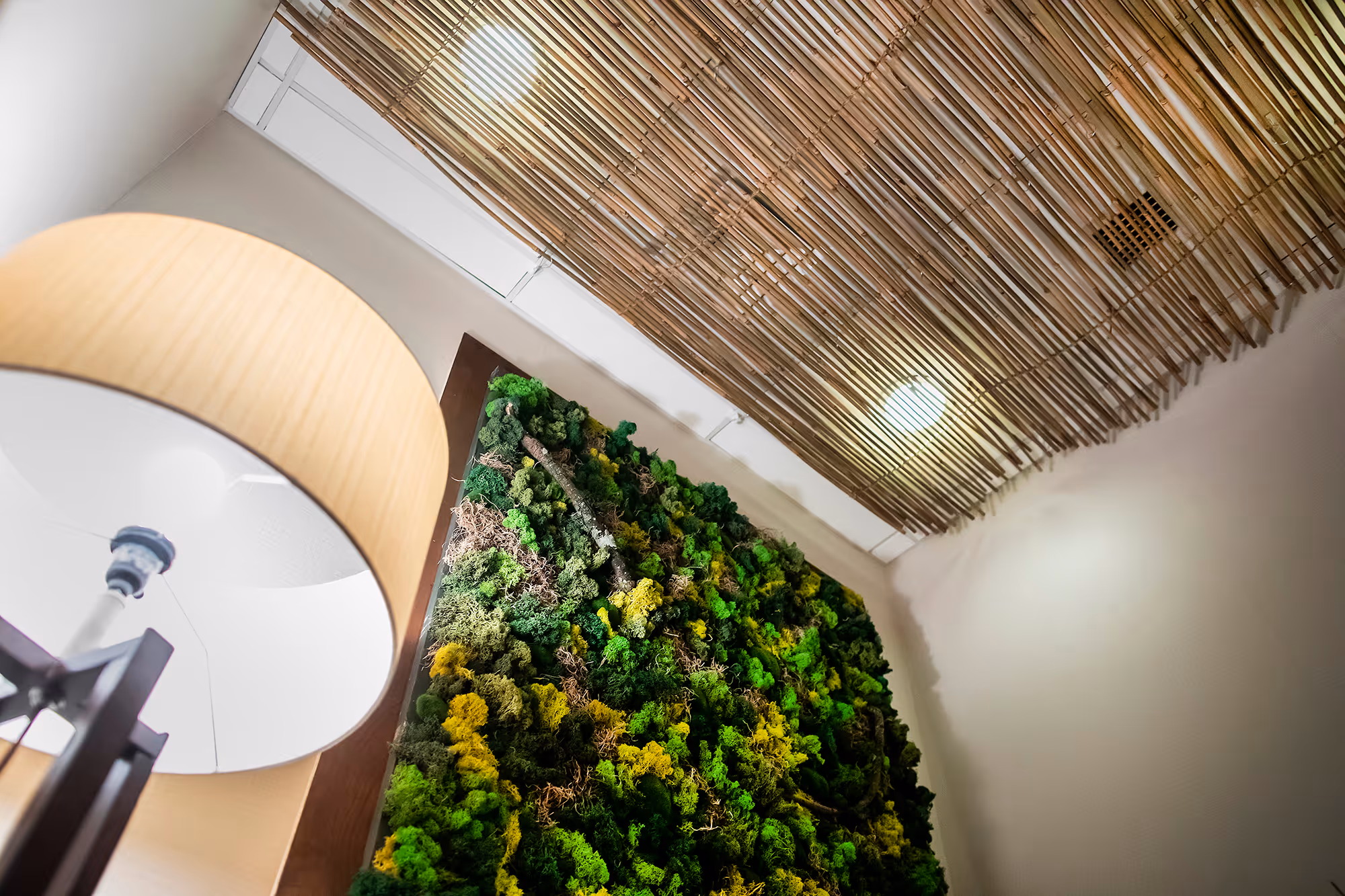 Can biophilic design improve mood? Recent research suggests yes blop post image