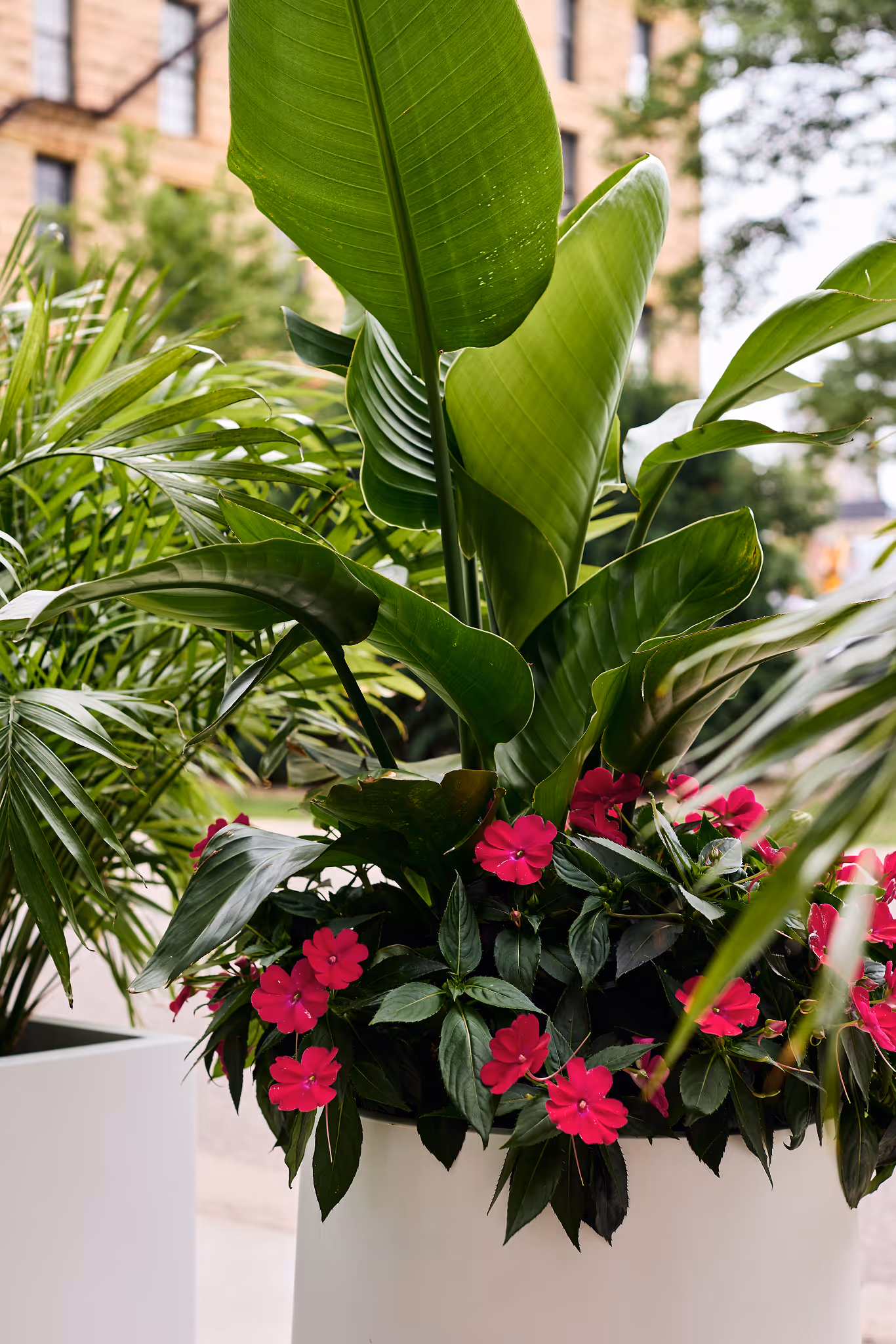 Plants By Design exterior planter with tropical foliage and bright pink flowers