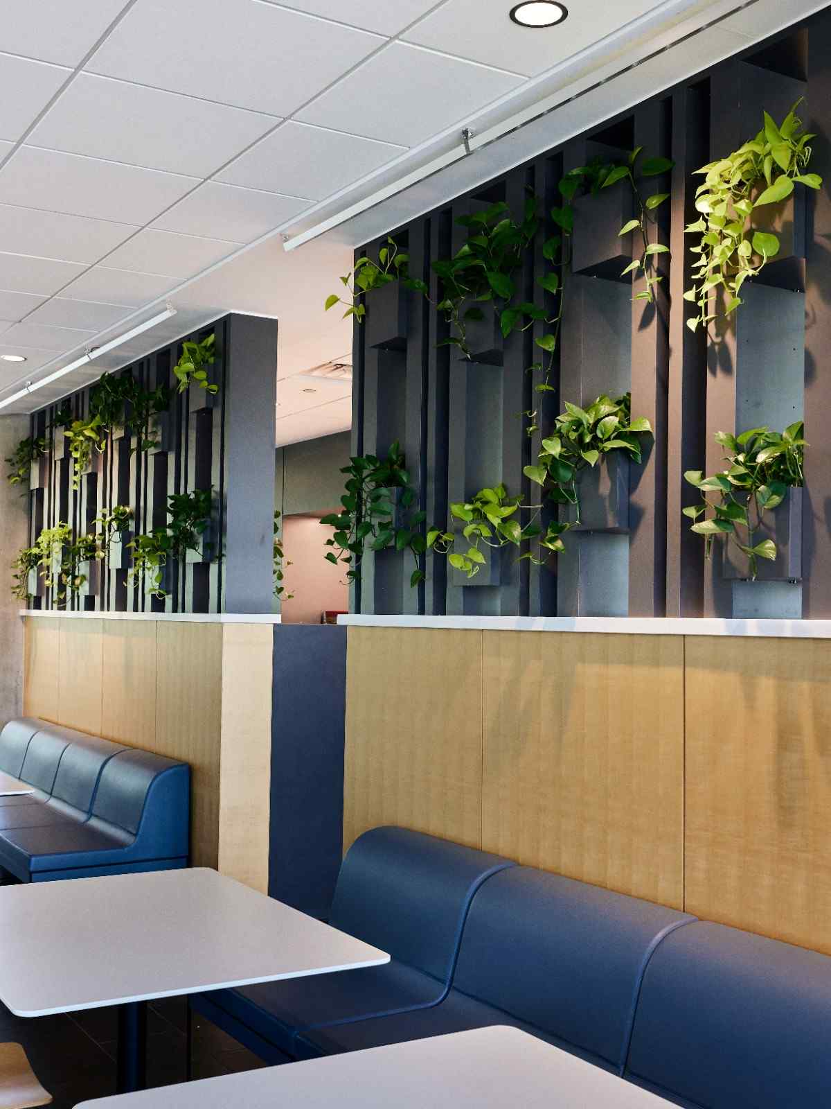 Living wall with cascading greenery above modern booth seating.