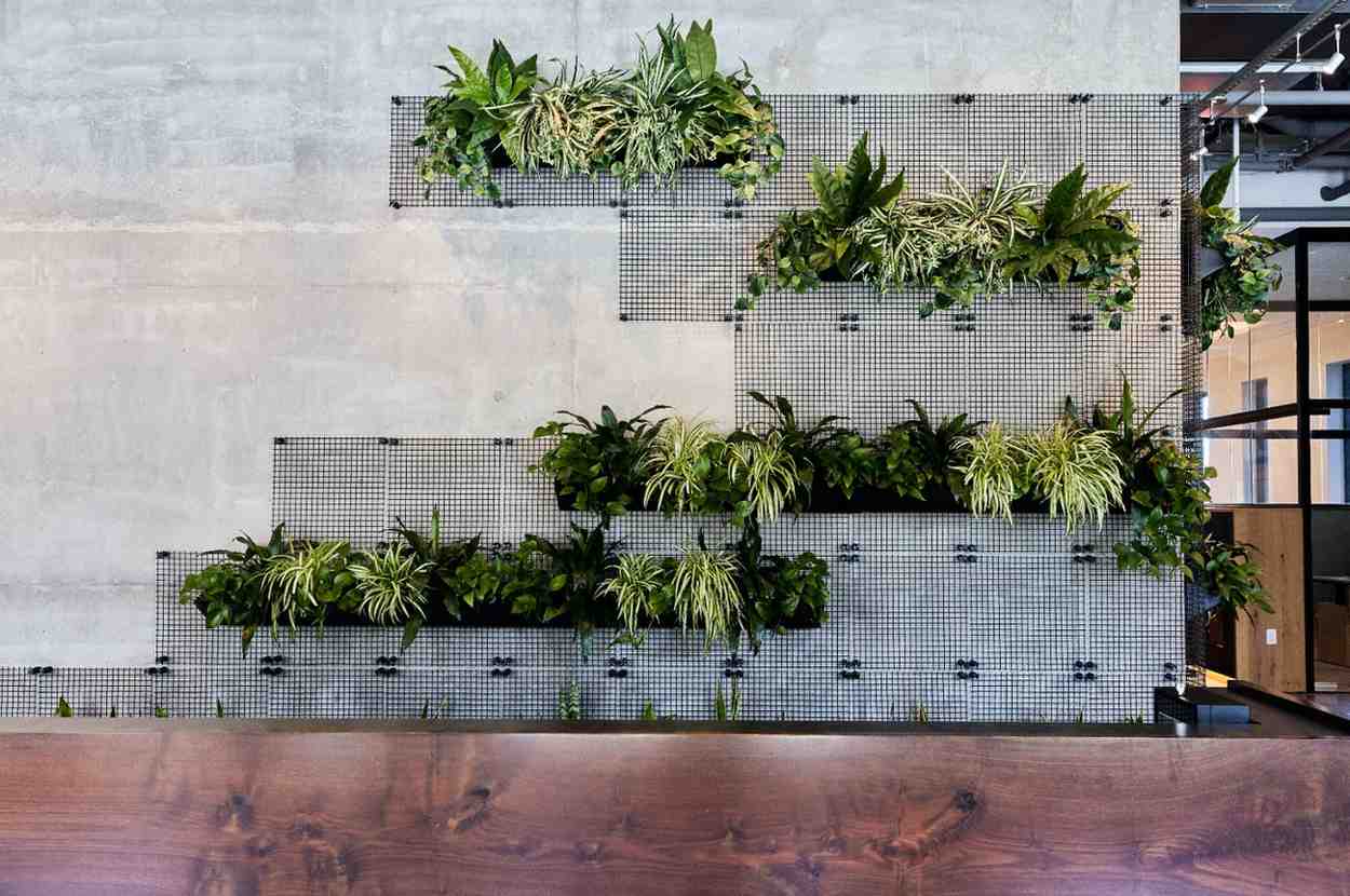 Geometric living wall with cascading plants on a modern grid panel.