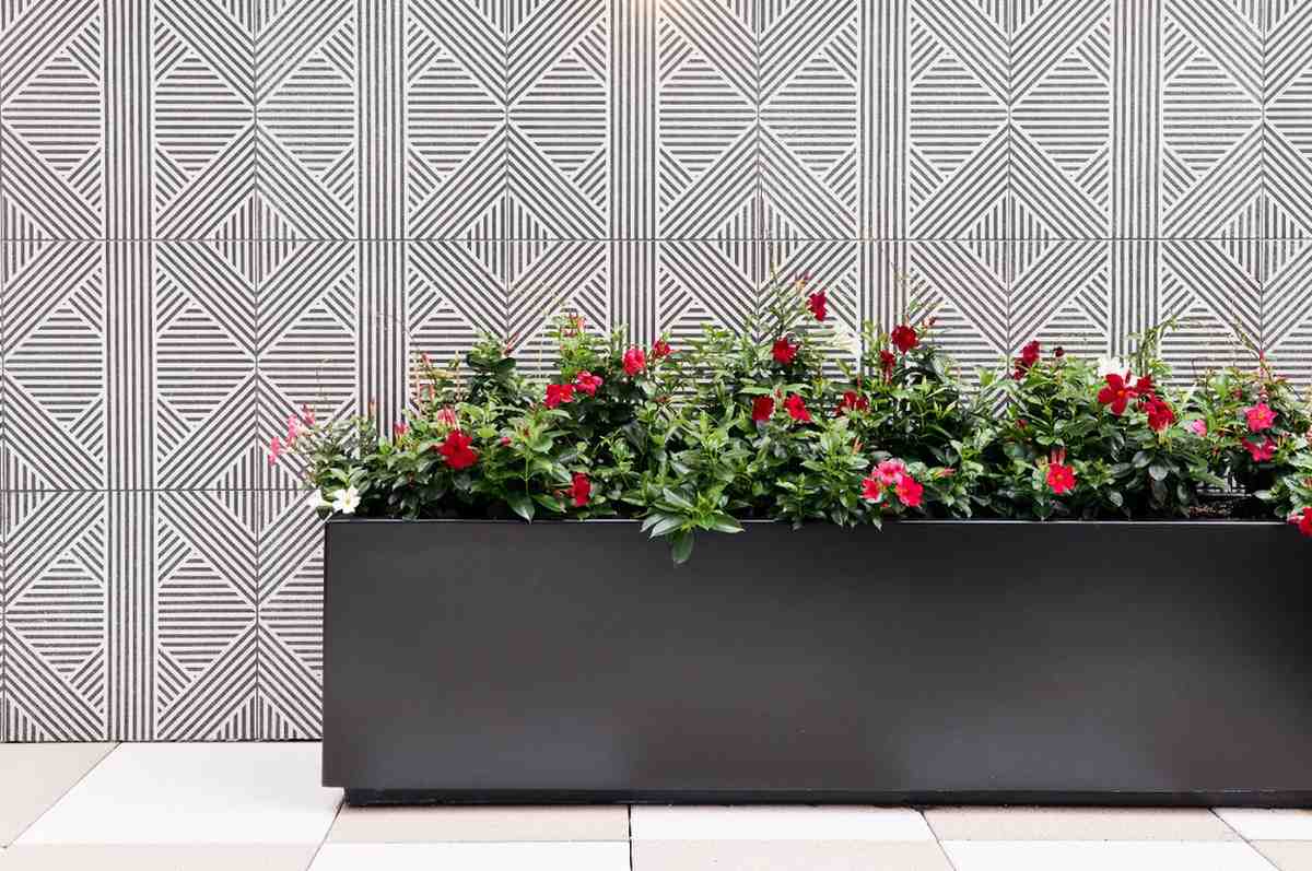 Modern rectangular planter filled with vibrant red flowers against a geometric patterned wall.
