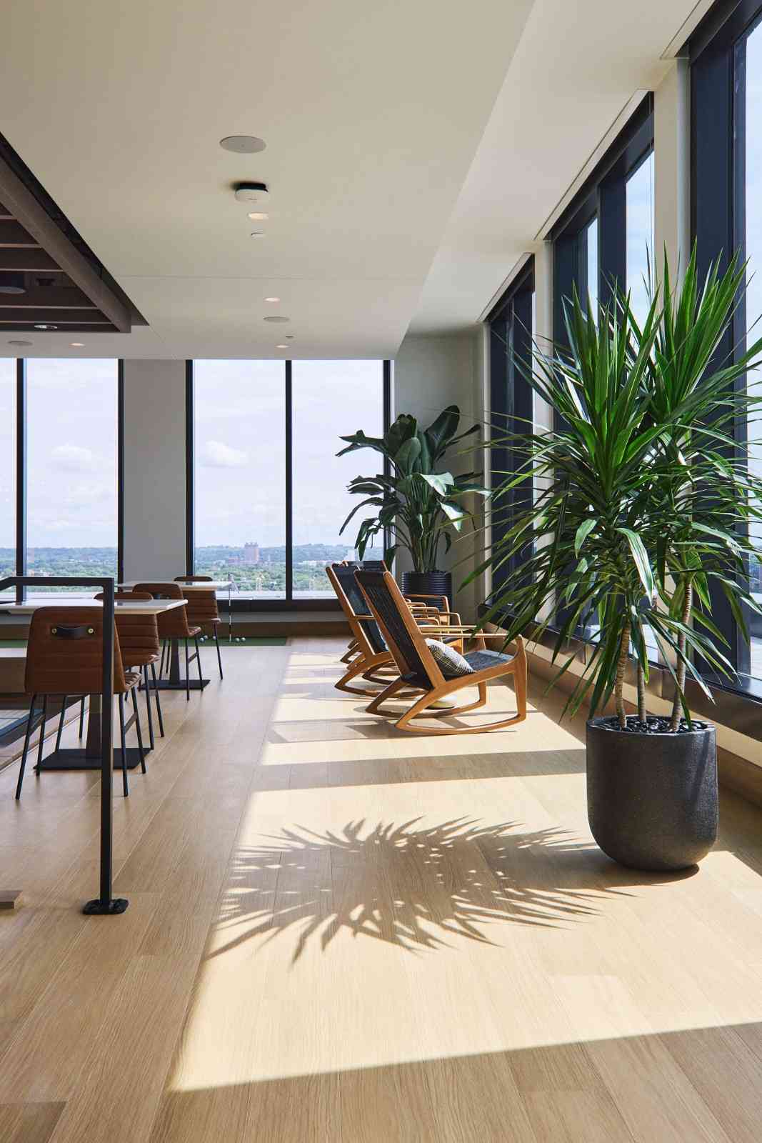 Modern office lounge with large potted indoor plants and natural light by floor-to-ceiling windows.