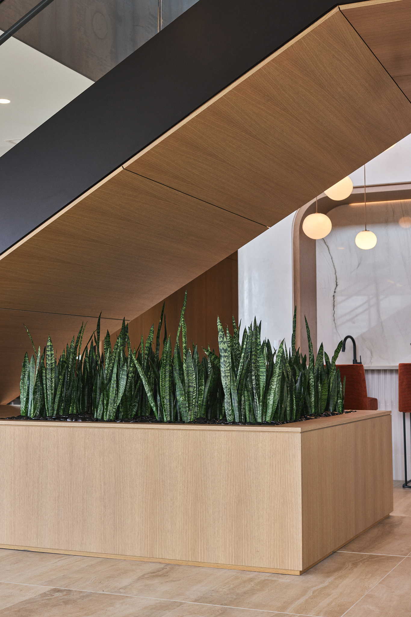 Modern indoor planter with tall sansevieria under staircase at Piper Sandler office.