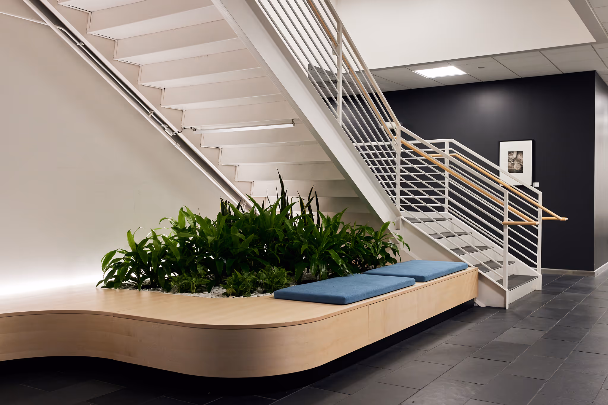 Indoor staircase planter with lush green plants built into curved wood seating at Coloplast office.