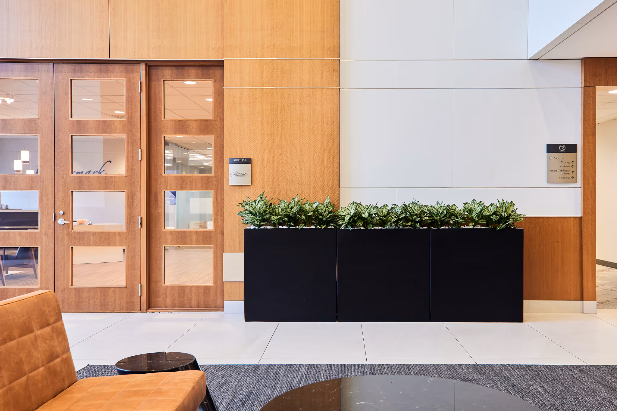Office lobby with black planters and variegated plants.