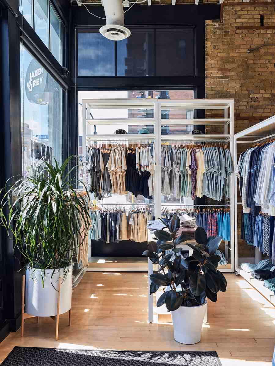 Modern store interior with tall dracaena and rubber plant décor