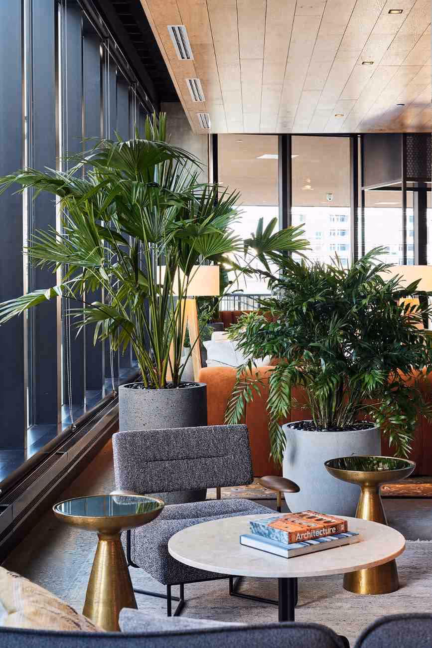 Indoor seating area with modern chairs, round tables, and tall potted palms adding greenery.