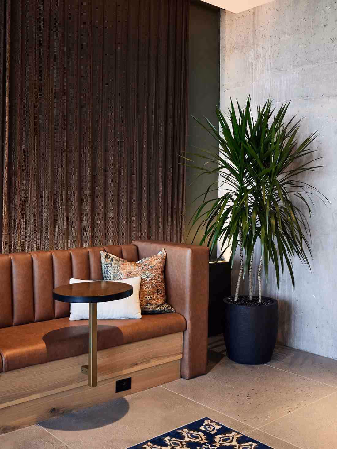 Modern lounge corner with tall dracaena plant in a black planter beside a leather booth seating area.
