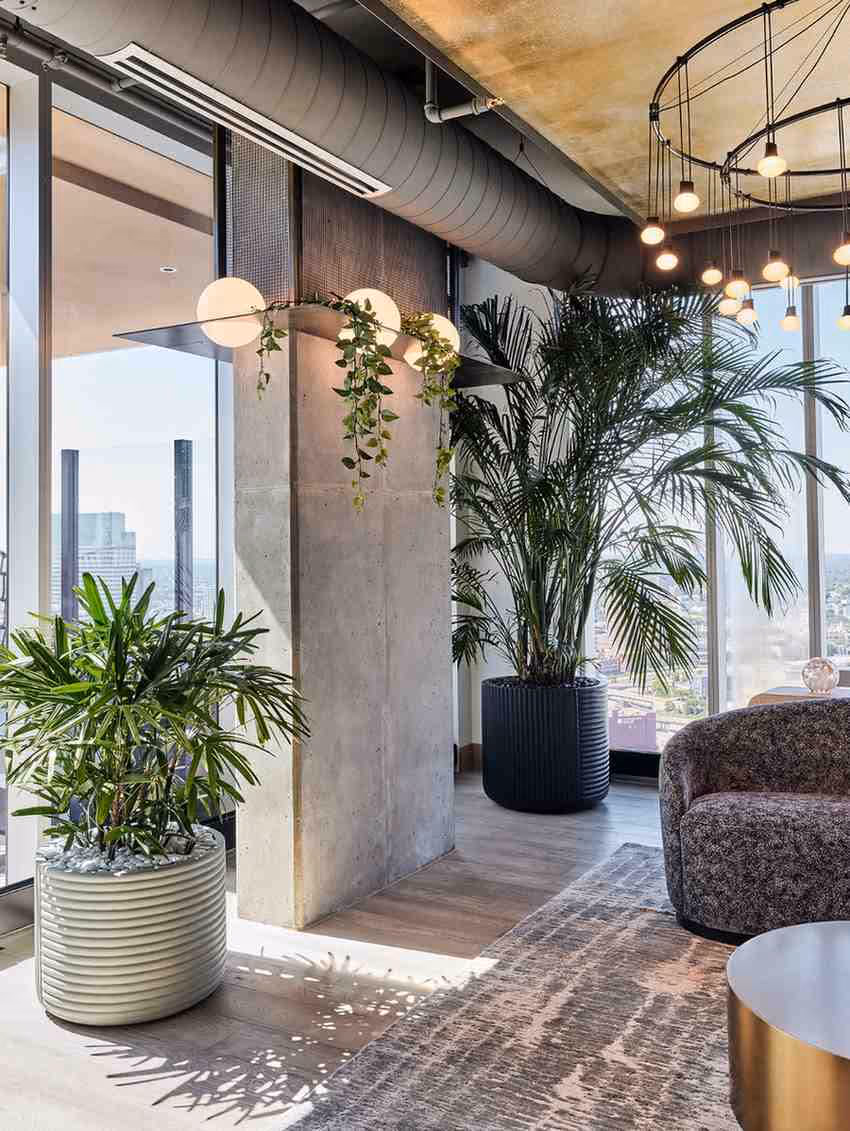 Modern high-rise lounge with large potted palms and indoor plants beside floor-to-ceiling windows and contemporary lighting.