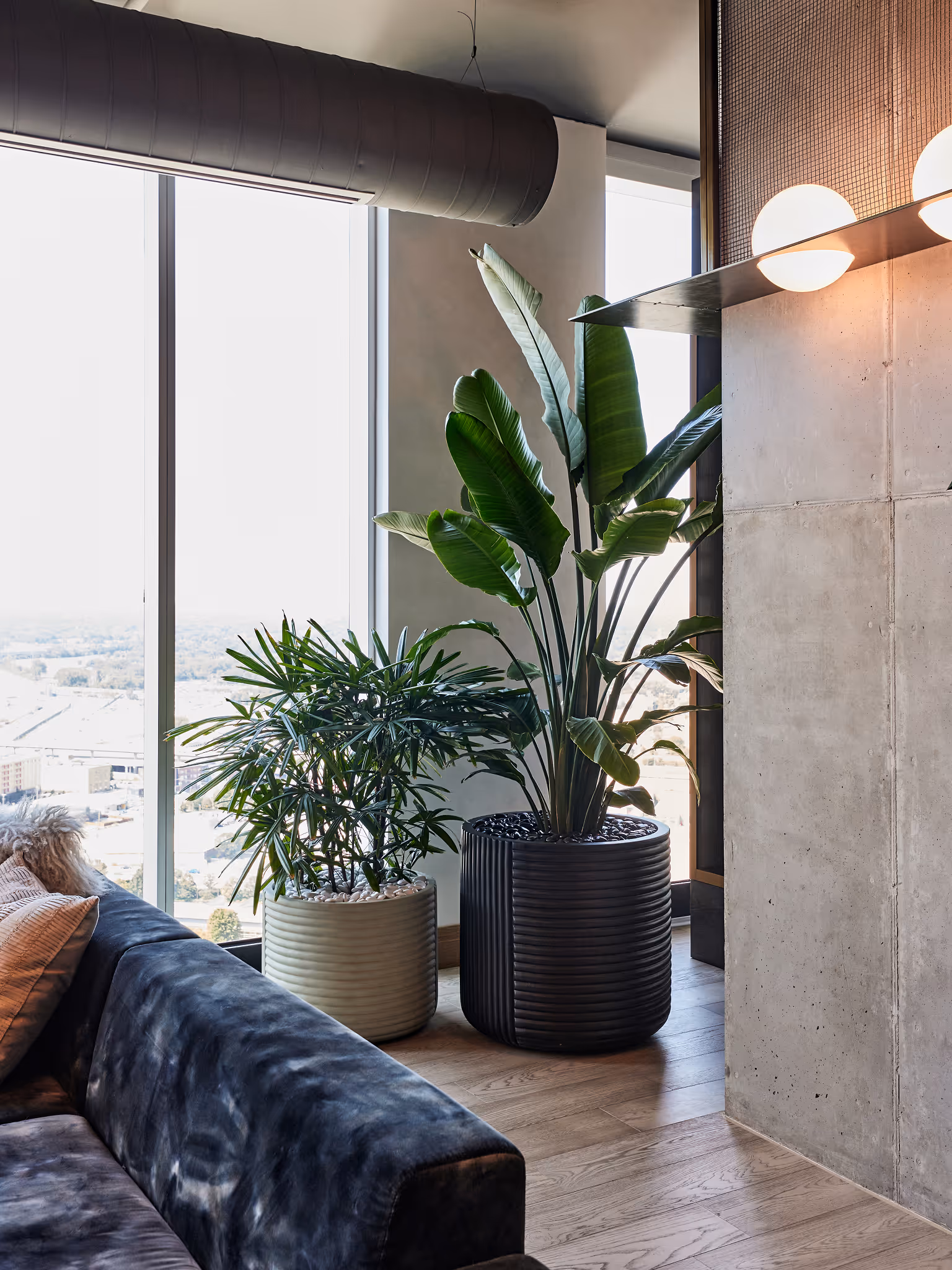 Modern high-rise lounge with large potted tropical plants beside floor-to-ceiling windows and a dark velvet sofa.