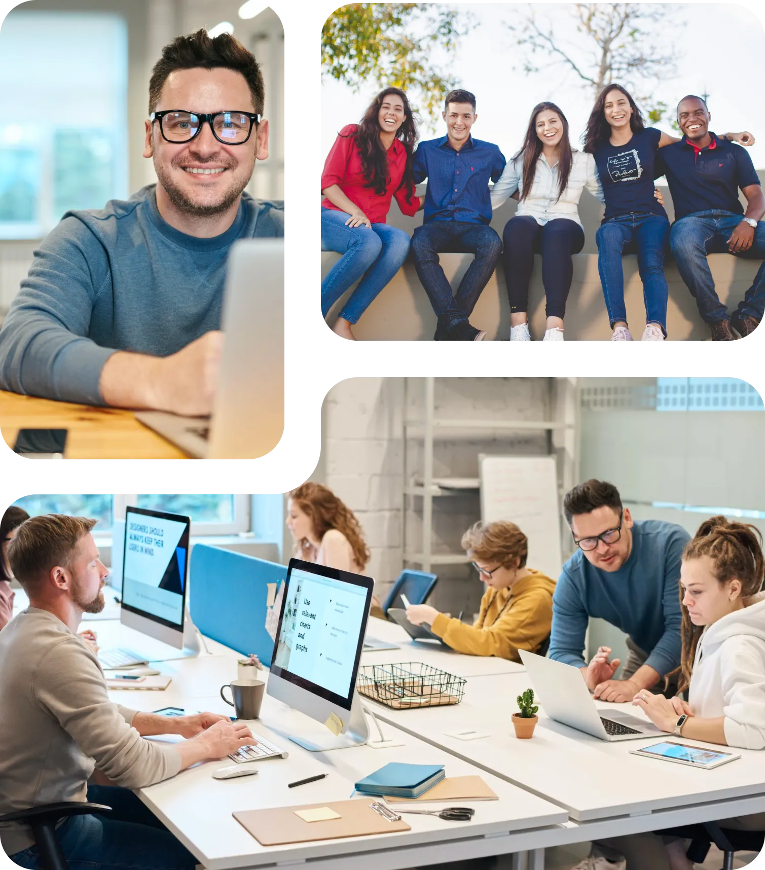 Picture Collage of Professionals working as a Team