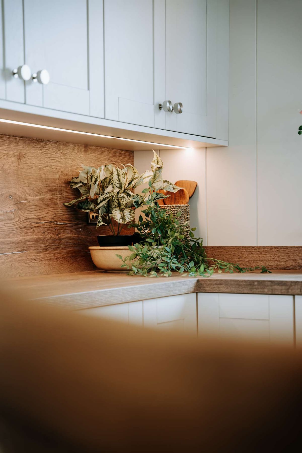 Cozy Kitchen Corner with Wooden Cabinets, Potted Plants, and Soft Under-Cabinet Lighting on Rustic Wood Countertop