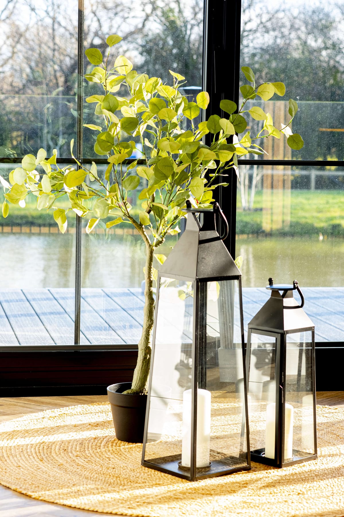 Sunlit Indoor Scene with Potted Eucalyptus Plant and Decorative Lanterns by Large Glass Window Overlooking Tranquil Waterfront
