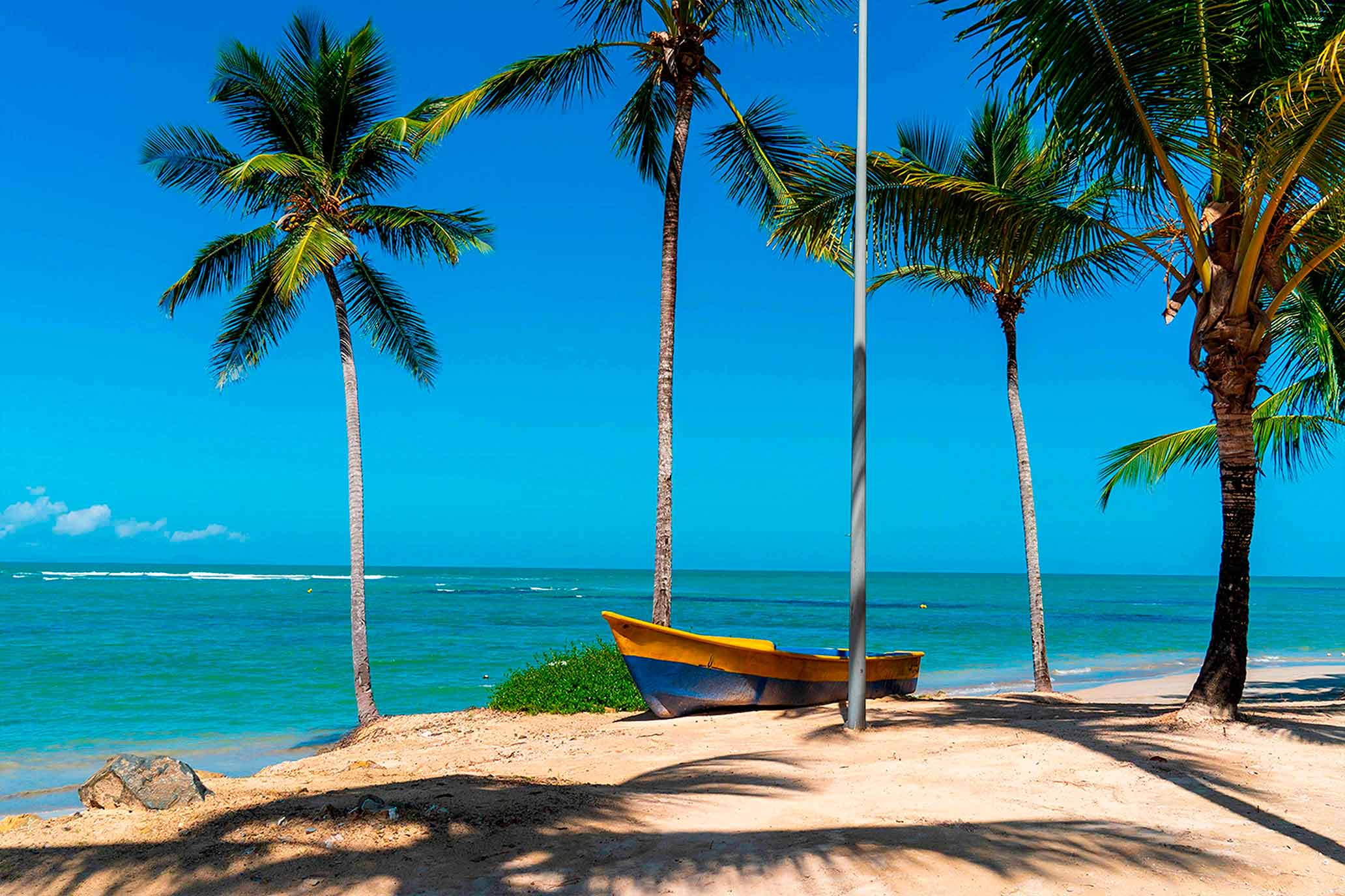 Foto Iberostar Playa Gaviotas