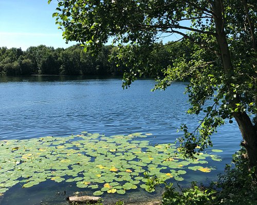 The Hidden Gems of Holmes Chapel