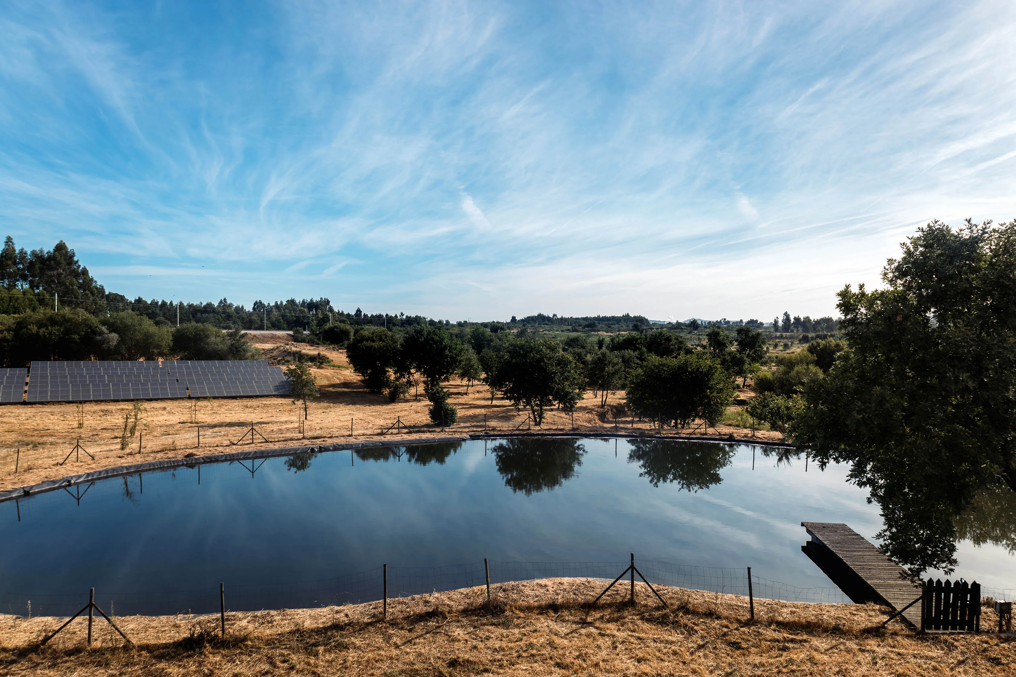 Lagoa cercada reflete árvores com painéis solares e céu azul ao fundo.