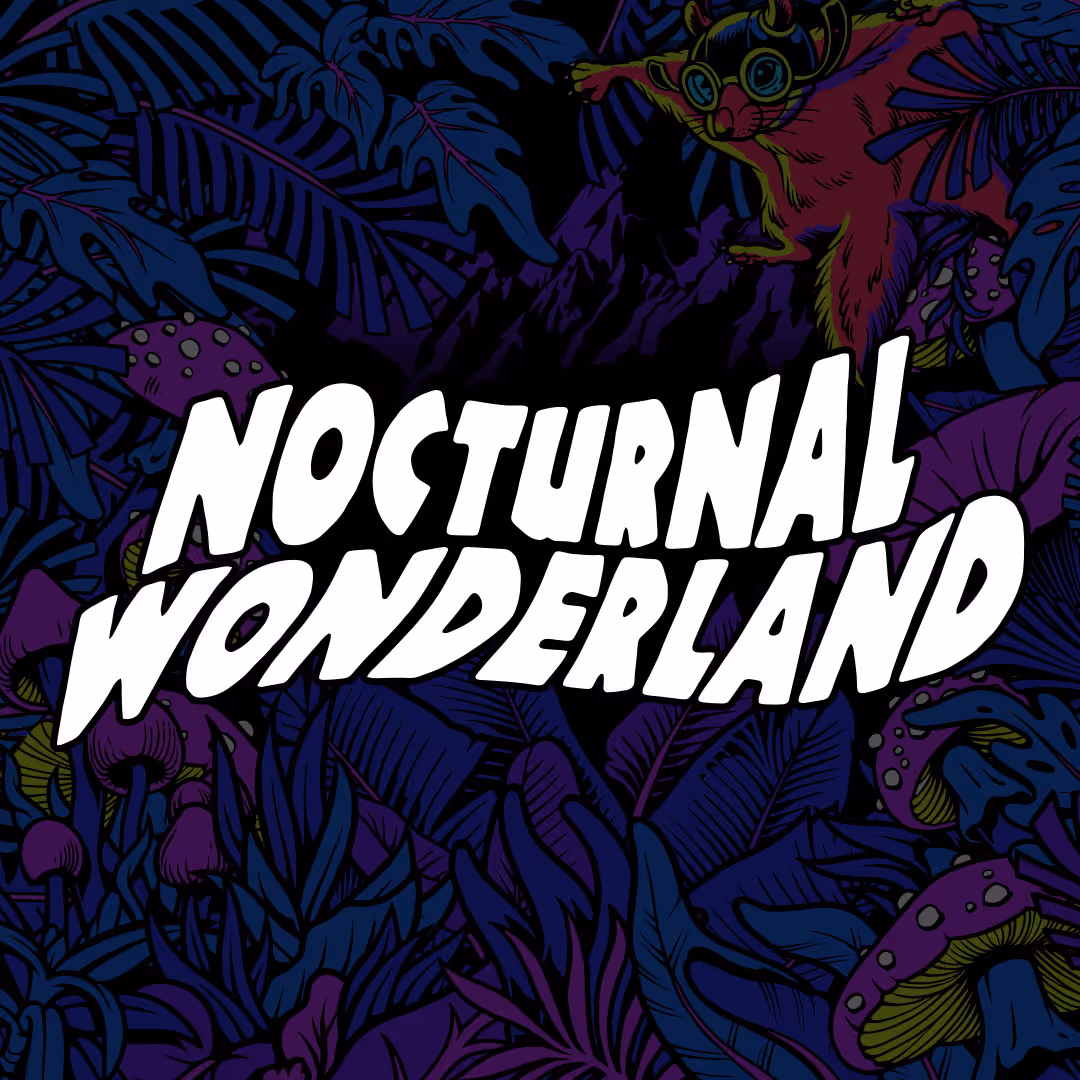 Nocturnal Wonderland logo