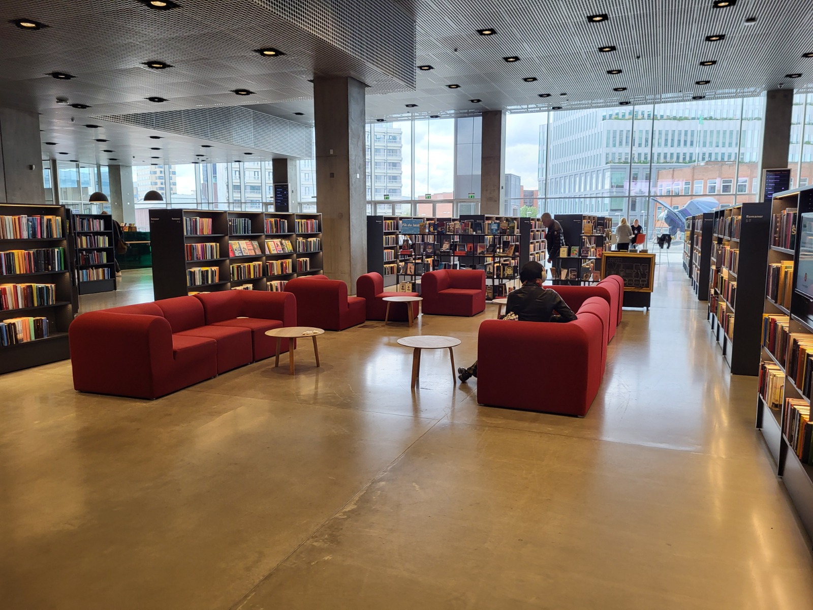 Das Bild zeigt die Innenausstattung einer Bibliothek