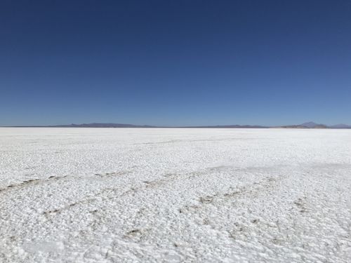 Lithium salar