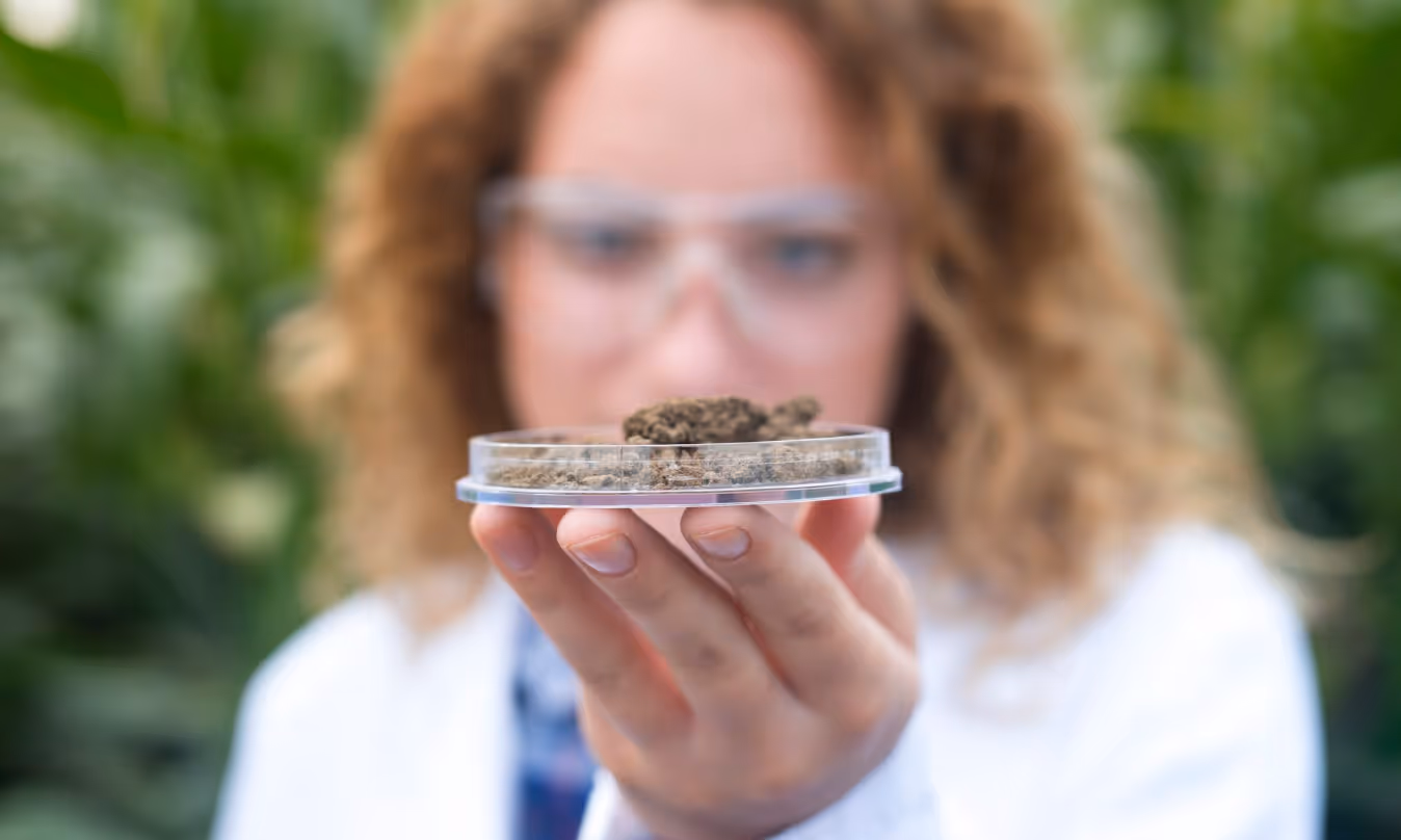 BioTrack-Metrc Transition