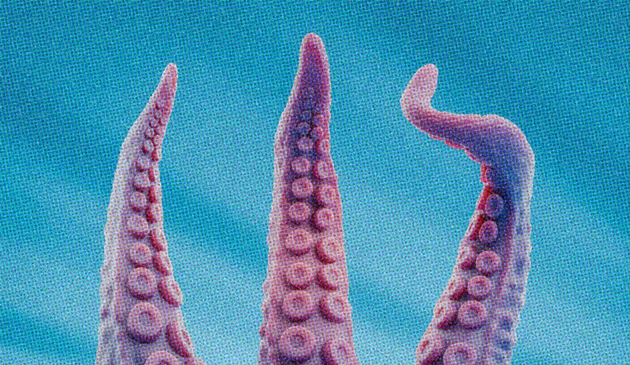 Three tentacles wave on a cool ocean-blue background.